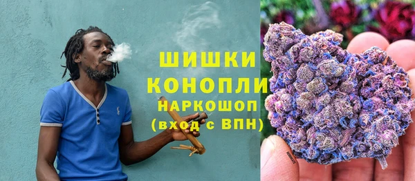 стафф Коряжма