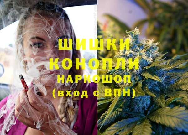 стафф Коряжма