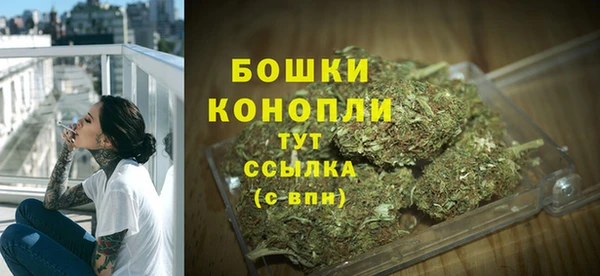 Альфа ПВП Костерёво