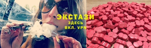 стафф Коряжма