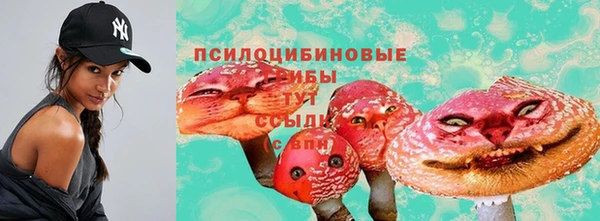 Альфа ПВП Костерёво
