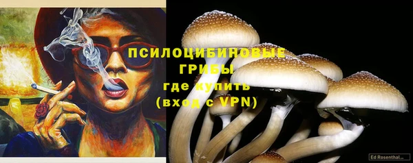 Альфа ПВП Костерёво
